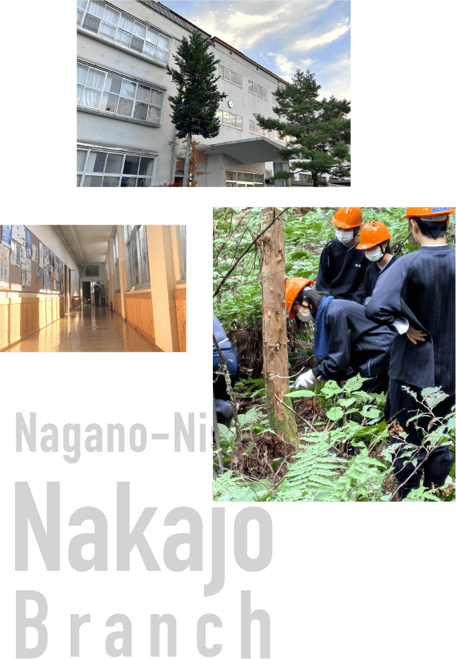 校舎、廊下、生徒たちの課外活動の様子の写真